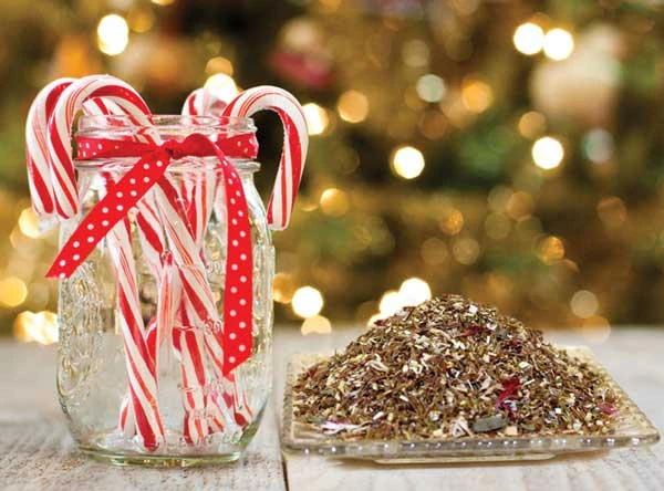 Candy Cane Organic Rooibos Herbal Tisane - WS 5 Candy Cane Organic Rooibos Herbal Tisane - WS - Image 3