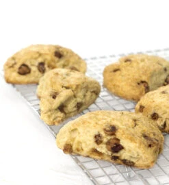 Praline Pecan Scone Mix 6 Praline Pecan Scone Mix -Simpson & Vail Store F2206 1 xl