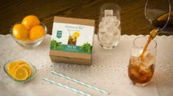 Moroccan Mint Iced Teabags -Simpson & Vail Store IcedTeabagsMMcropped