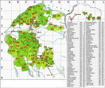 Darjeeling - Black Indian Tea - WS 4 Darjeeling - Black Indian Tea - WS - Image 2