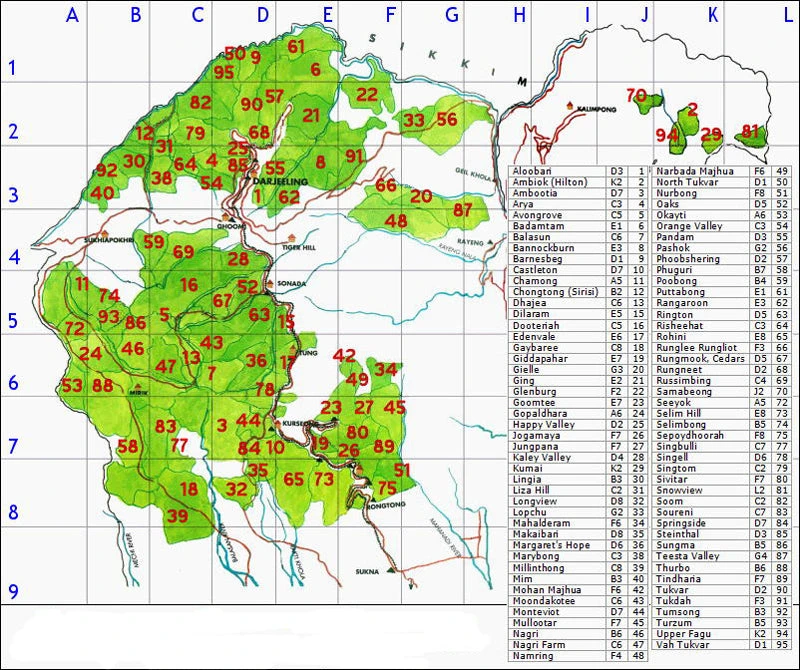 Darjeeling - Organic Earl Grey, Black Tea - WS 4 Darjeeling - Organic Earl Grey, Black Tea - WS - Image 2