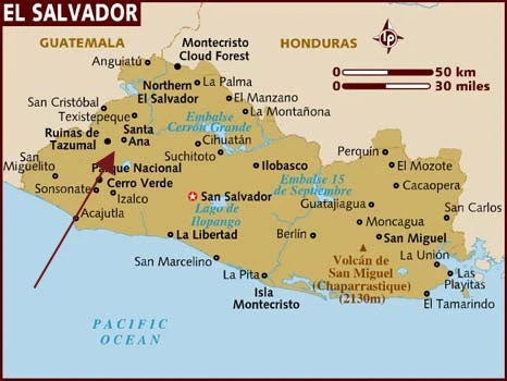 Don Hilario Coffee 4 Don Hilario Coffee - Image 2