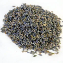 Lavender Flowers, Whole