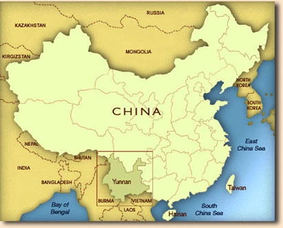 China Mini Tuocha Pu-erh Green Tea 4 China Mini Tuocha Pu-erh Green Tea - Image 2